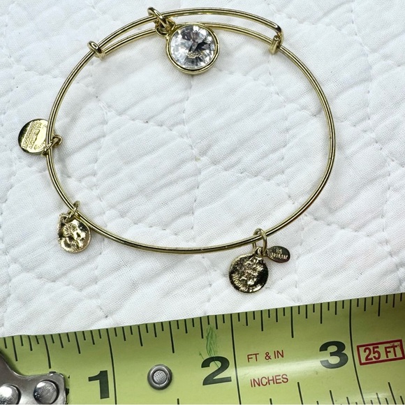 Alex and Ani April Birthstone Charm Bangle - Clear Crystal - Picture 3 of 10